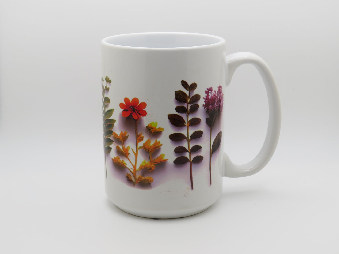 Wildflowers