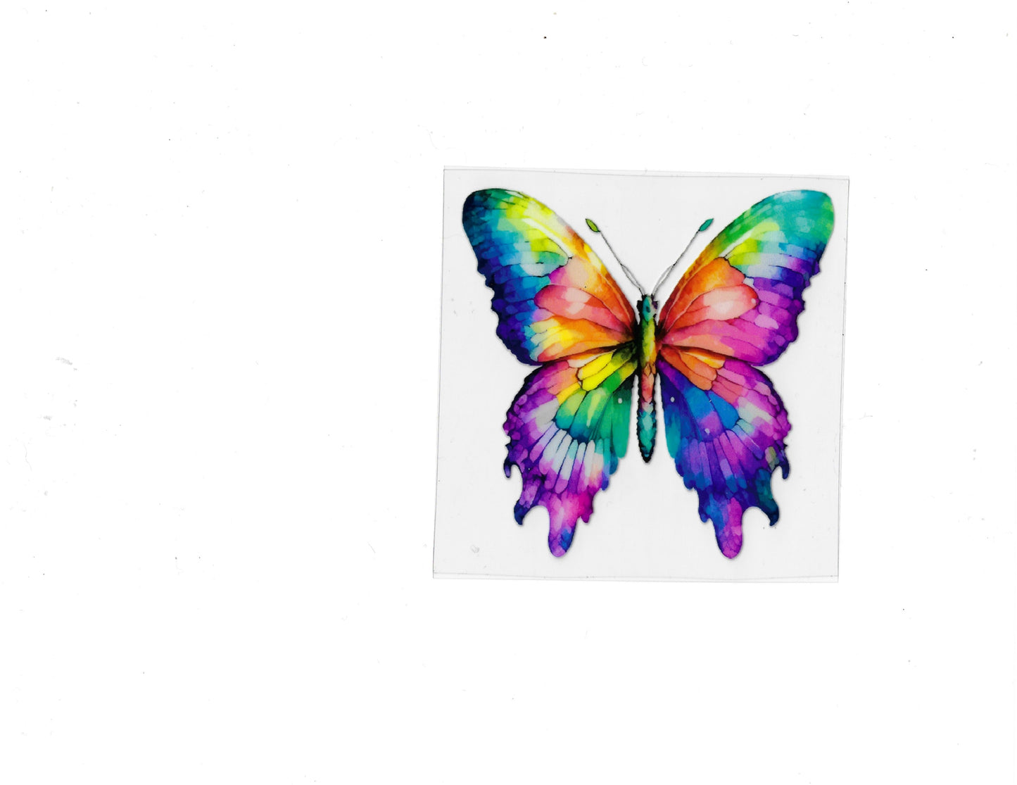Butterfly - #618