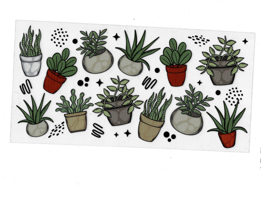 Potted Plants - #369