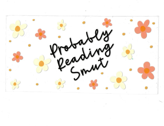 Reading Smut - #463