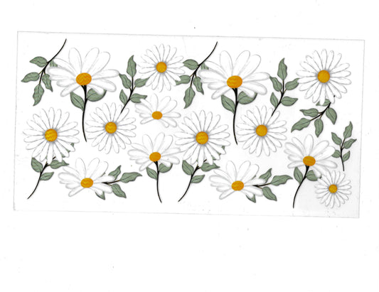 Daisy Flowers - #368