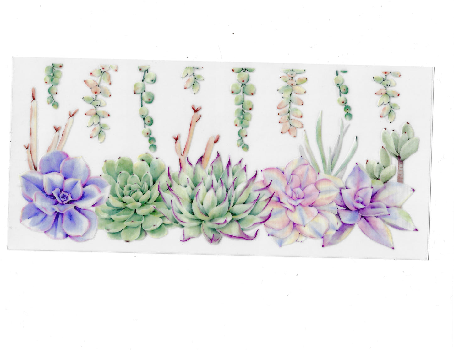 Flowers - #372