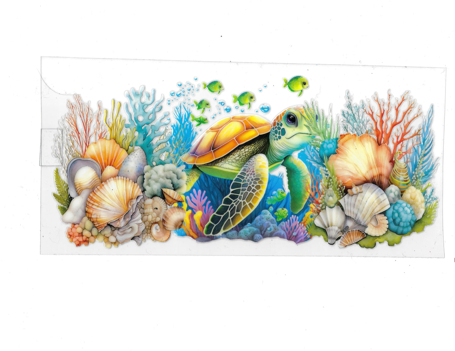 Turtle and Seashells - #394