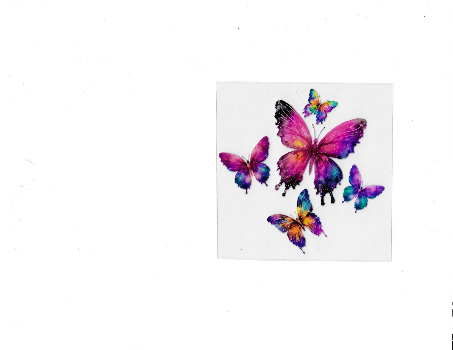 Butterflies - #617